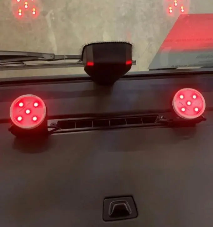 Double Poppy Steel Window Holder led